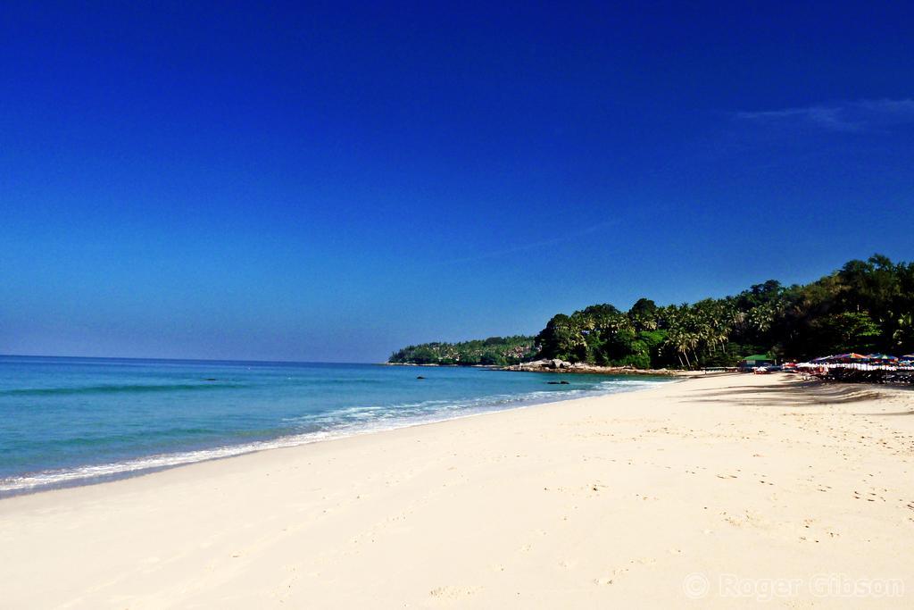 Dreams Guesthouse & Hostel Patong ภายนอก รูปภาพ